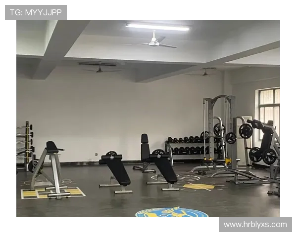 阳锐健身器材官网健身房专业设备配置方案